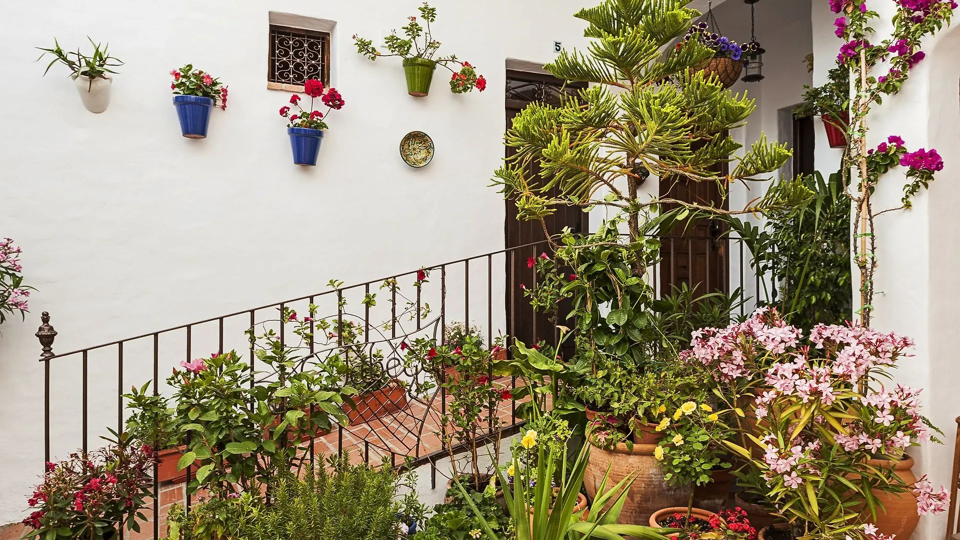 La Jabega Centro Apartment Conil De La Frontera